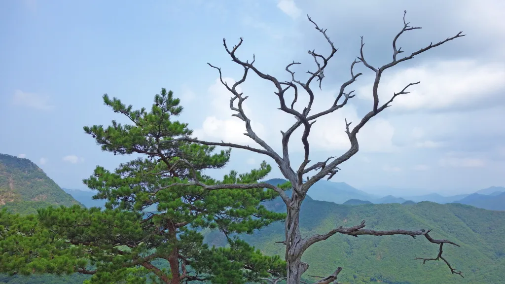 칠보산 (778m) [충북 괴산] : 2016-09-14