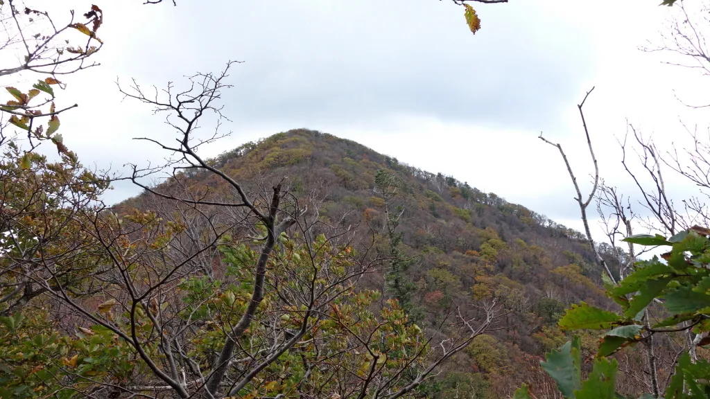 오대산