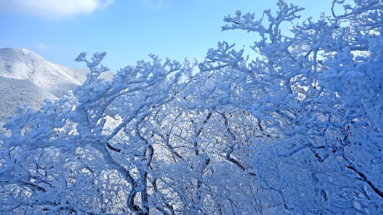 덕유산 눈꽃산행