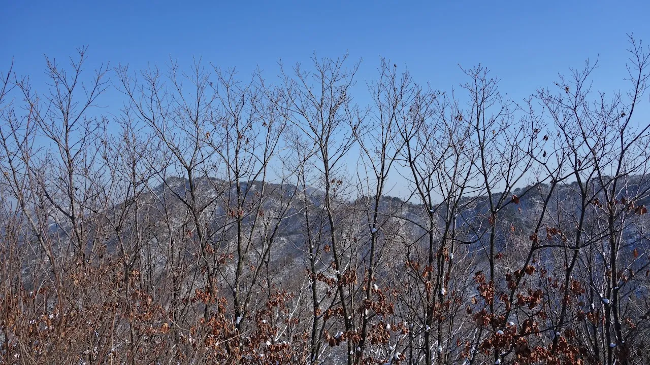 용화산 오봉산 연계산행 : 2017-01-22