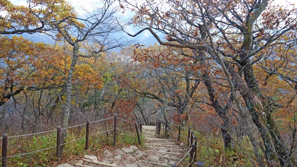 오대산