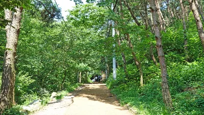 모악산 대원사코스 사용자 사진 3
