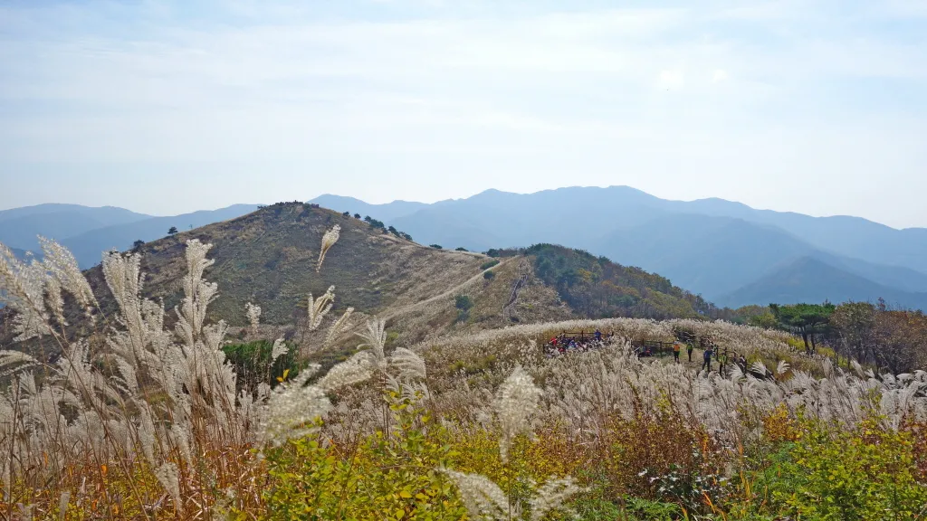 민둥산 : 2016-10-15