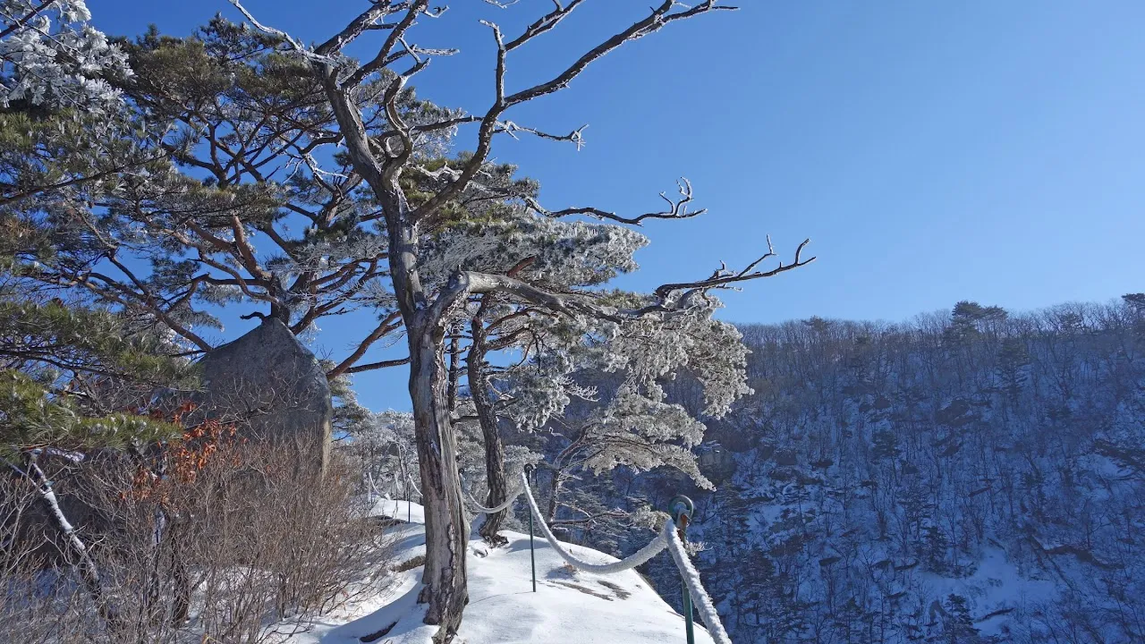 용화산 오봉산 연계산행 : 2017-01-22