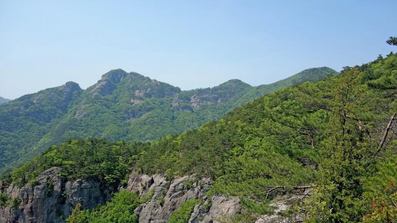 변산