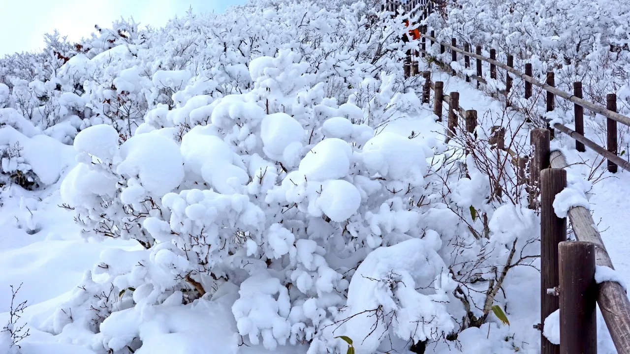 덕유산 눈꽃산행