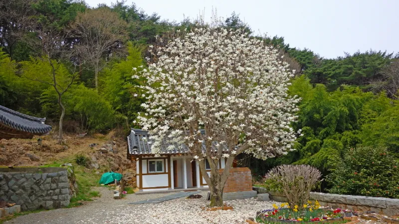 미륵산 (경남 통영) : 2016-04-02