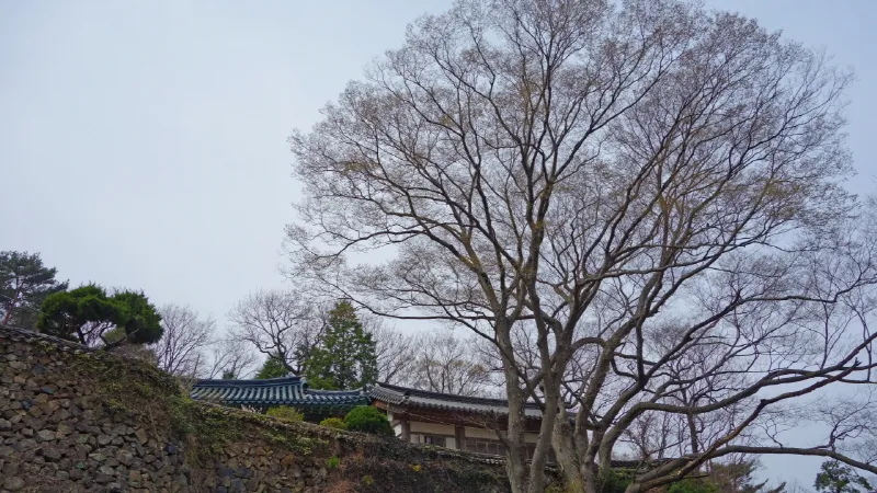 미륵산 (경남 통영) : 2016-04-02