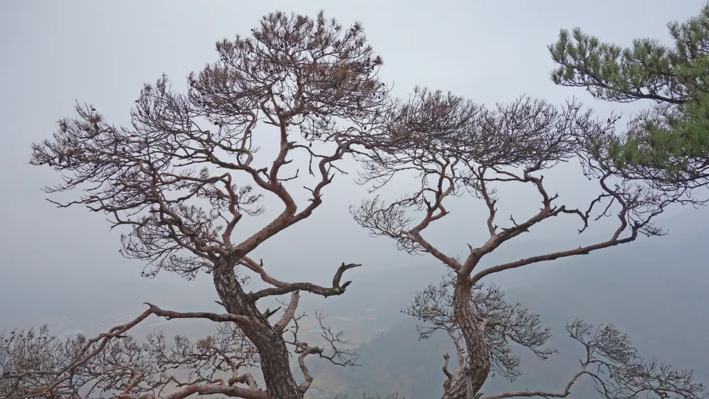 팔봉산 (홍천) : 2014-04-13