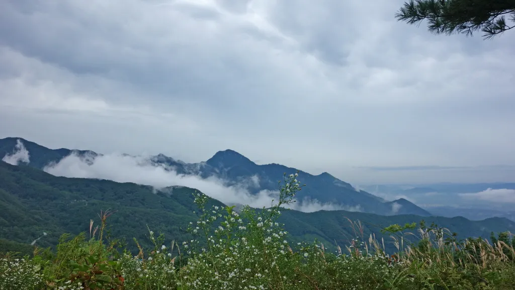 유명산-용문산:2016-09-17