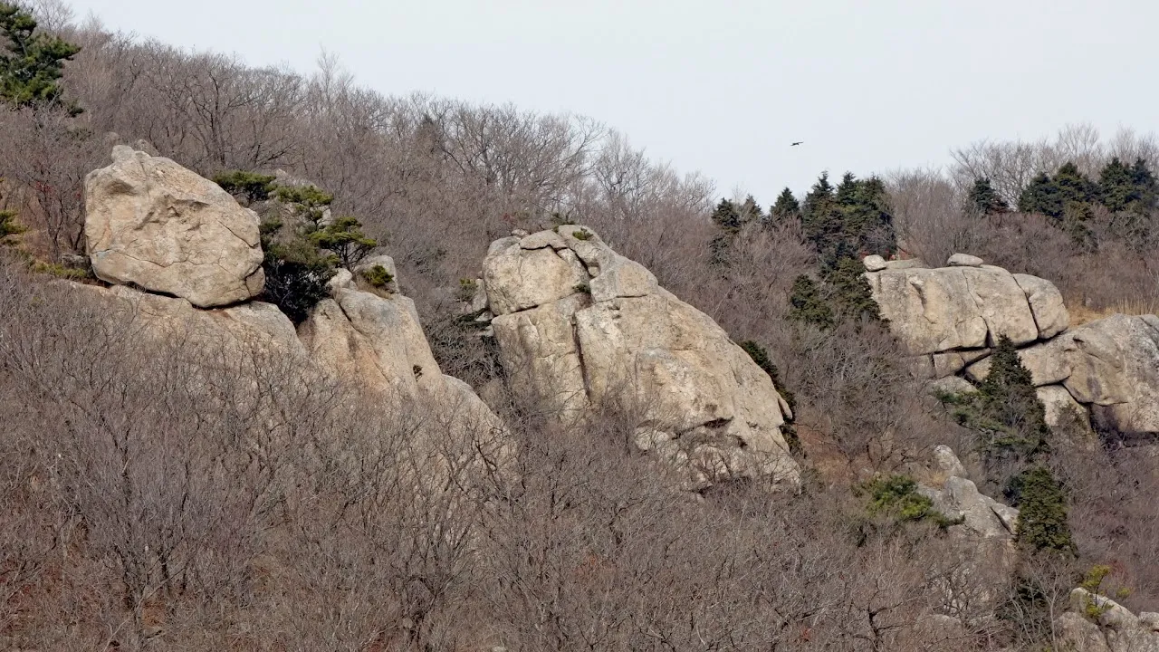 남해 금산