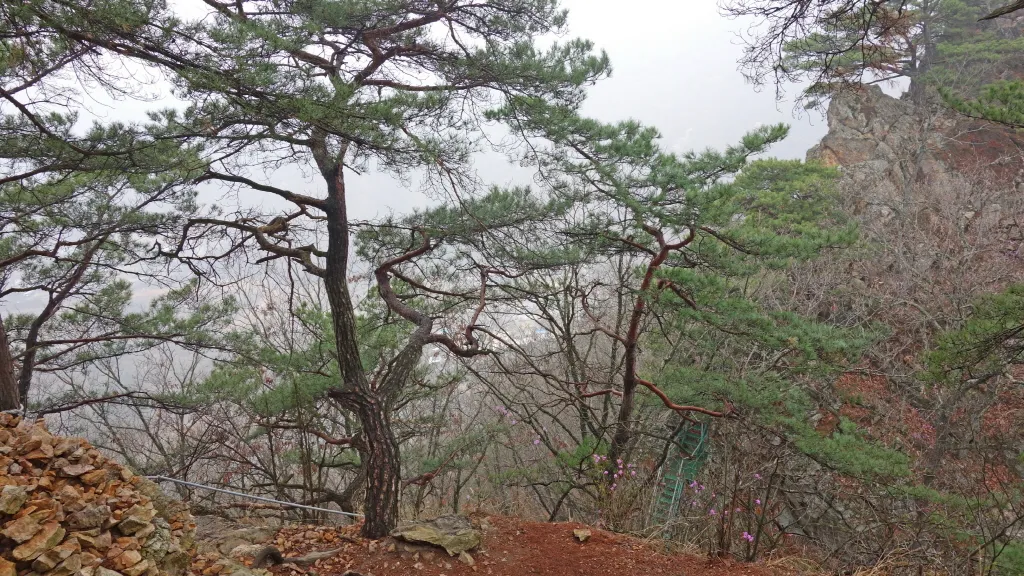 팔봉산 (홍천) : 2014-04-13
