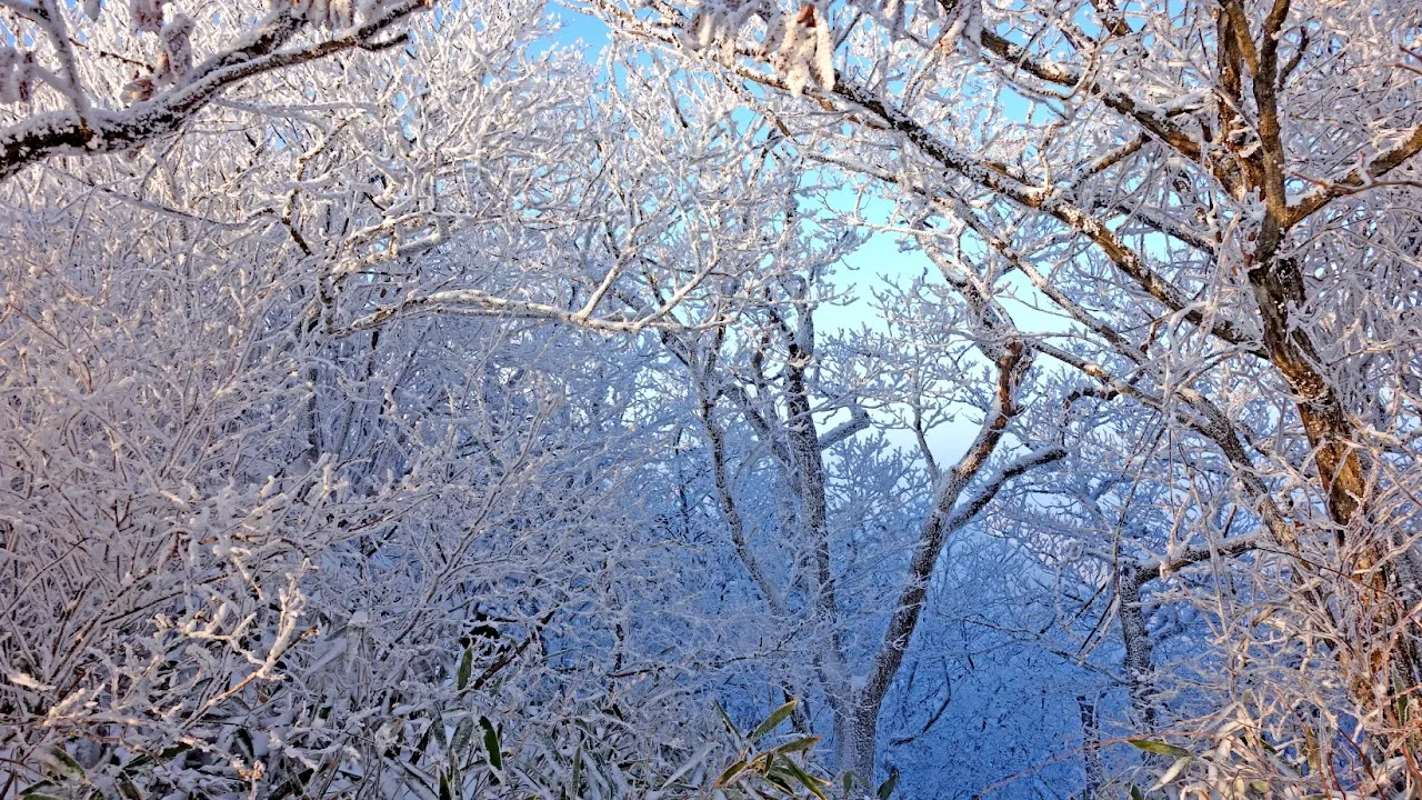 덕유산 눈꽃산행