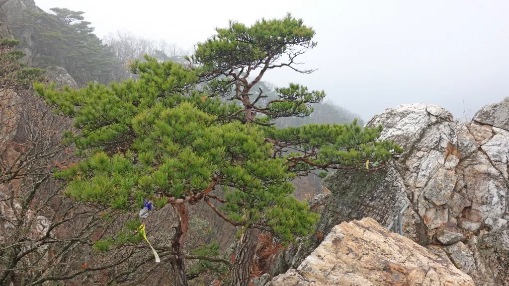 팔봉산 (홍천) : 2014-04-13
