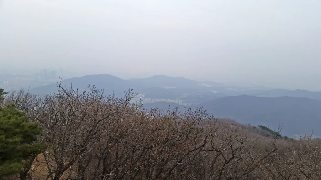 청계산 진달래