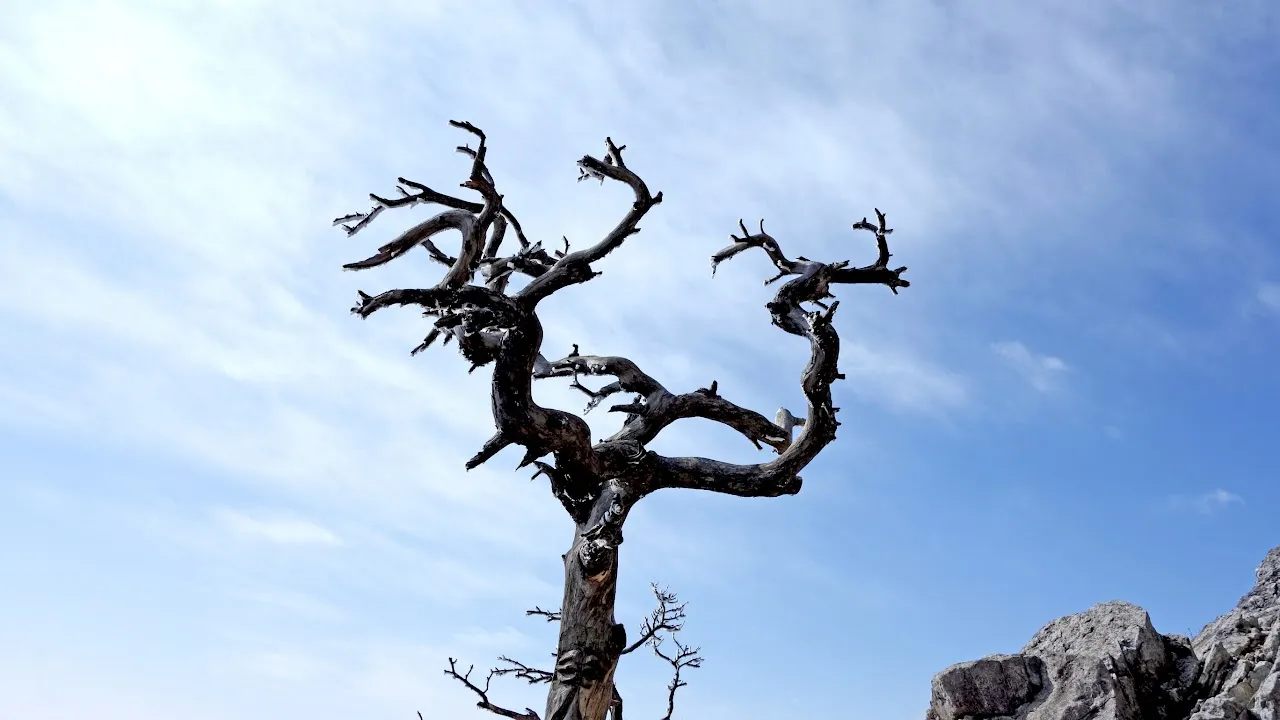 가야산 국립공원 : 2016-02-14