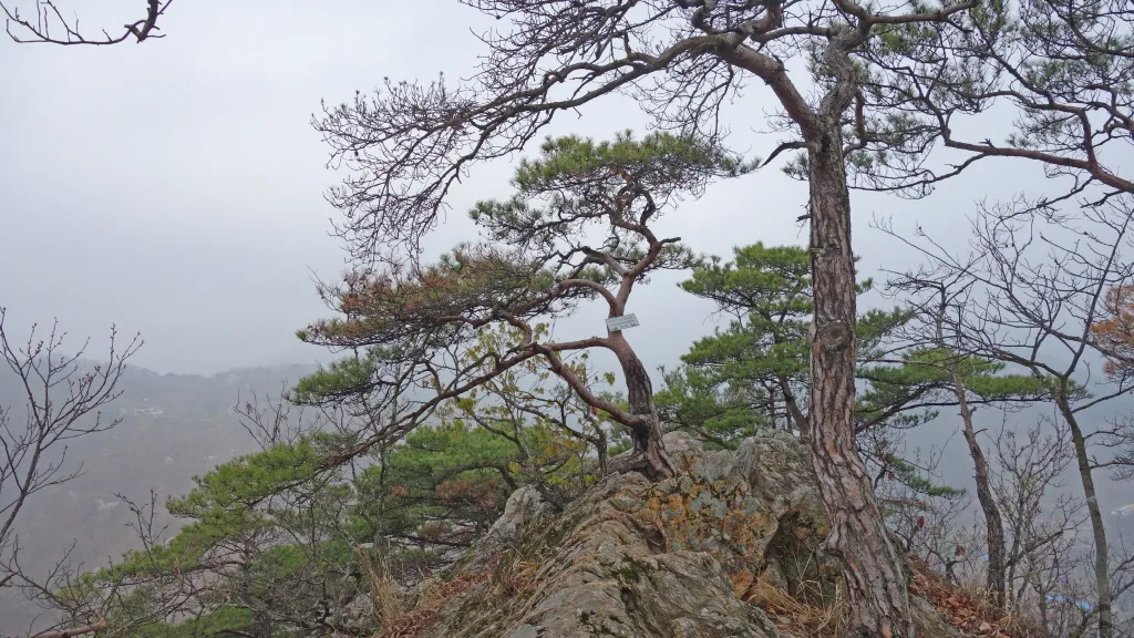 팔봉산 (홍천) : 2014-04-13