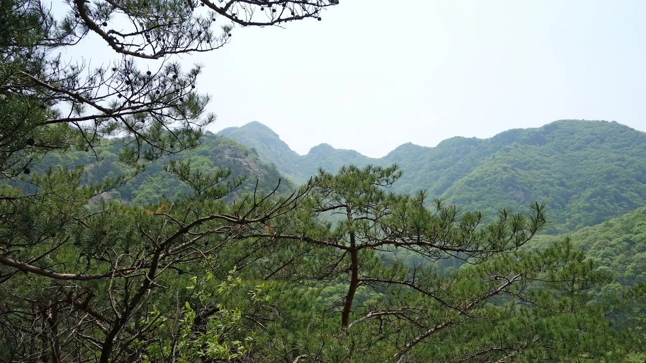 변산