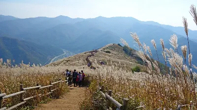 민둥산 급경사코스 사용자 사진 1