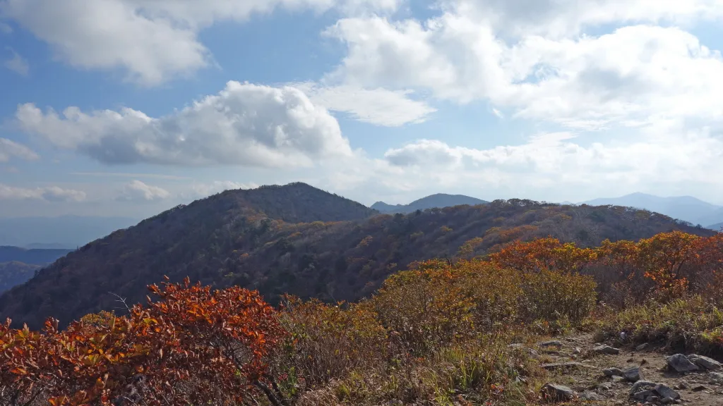 오대산
