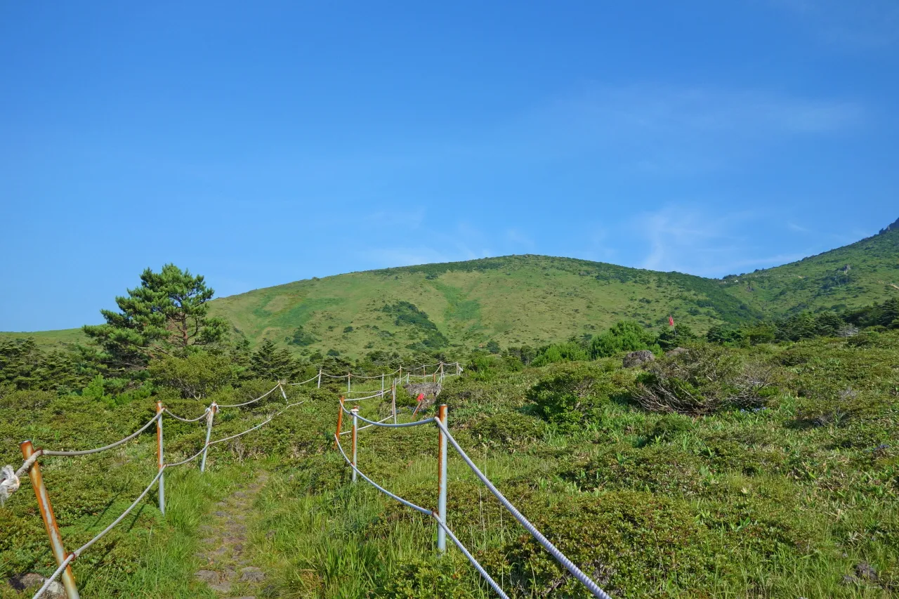 한라산 (돈내코-윗세오름) : 2016-07-30