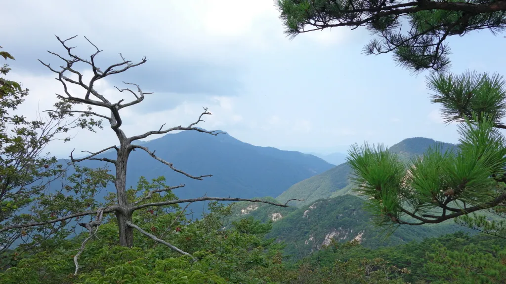 칠보산 (778m) [충북 괴산] : 2016-09-14