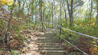 민둥산 급경사코스 사용자 사진 3