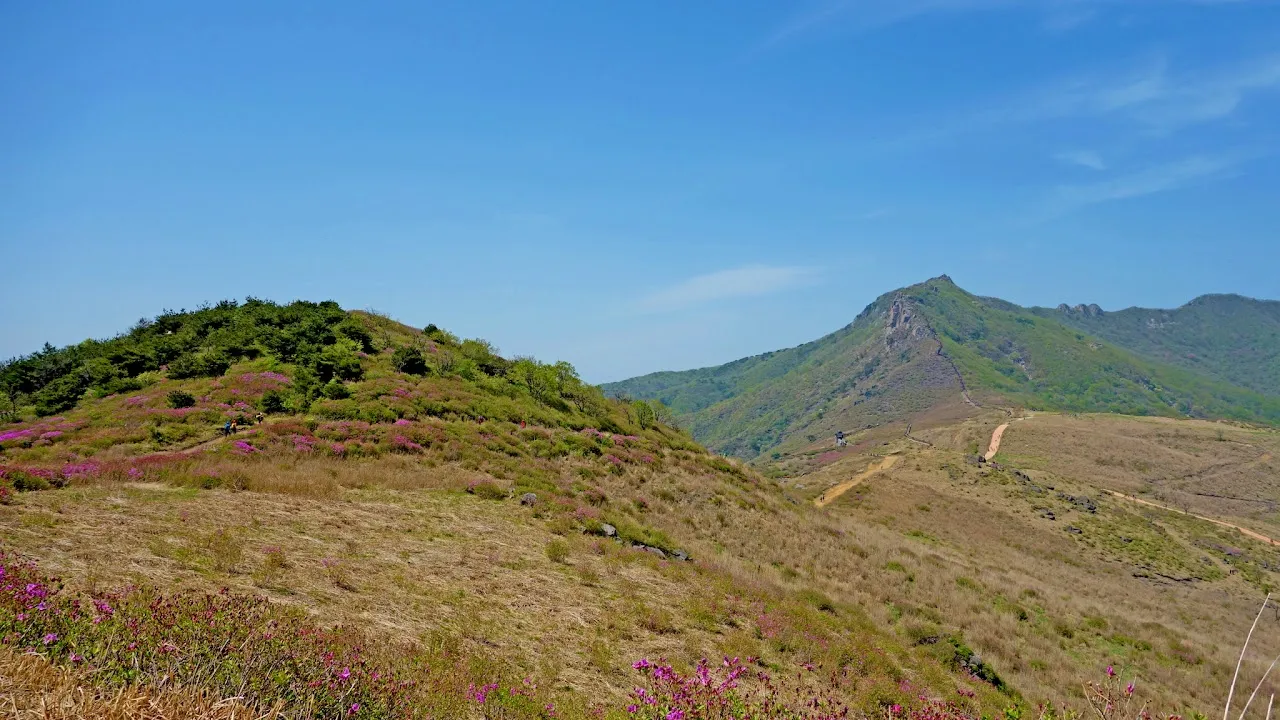 황매산