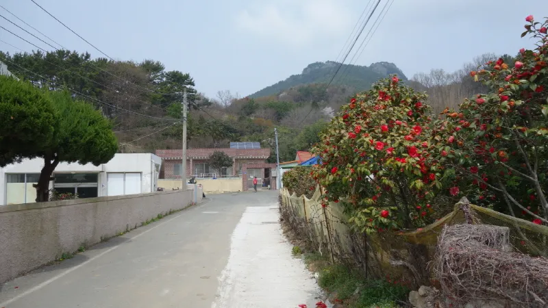 미륵산 (경남 통영) : 2016-04-02