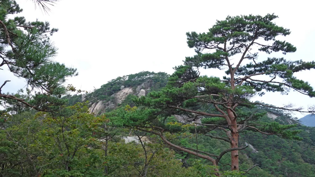 칠보산 (778m) [충북 괴산] : 2016-09-14