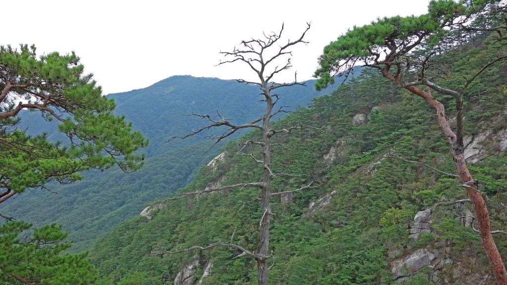 칠보산 (778m) [충북 괴산] : 2016-09-14