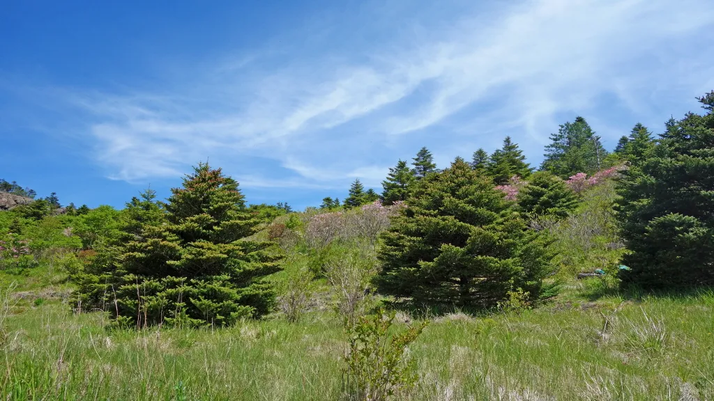지리산 화대종주 : 2016-05-21