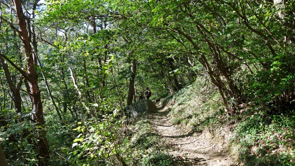 팔영산 (전남고흥)