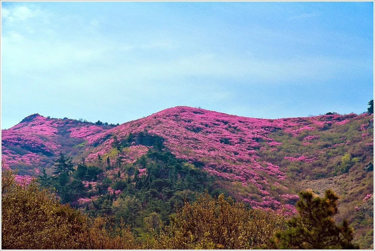 전남 여수 영취산