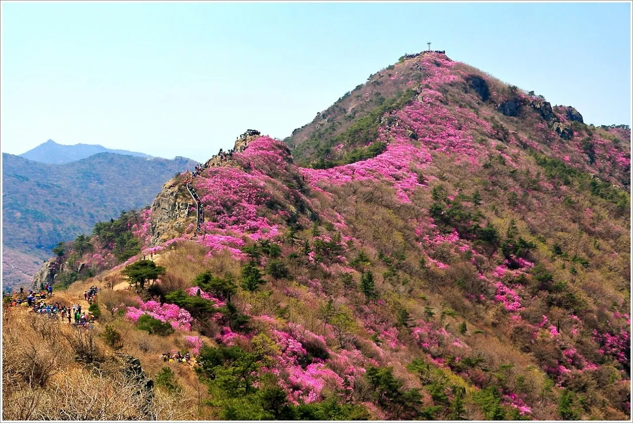 전남 여수 영취산