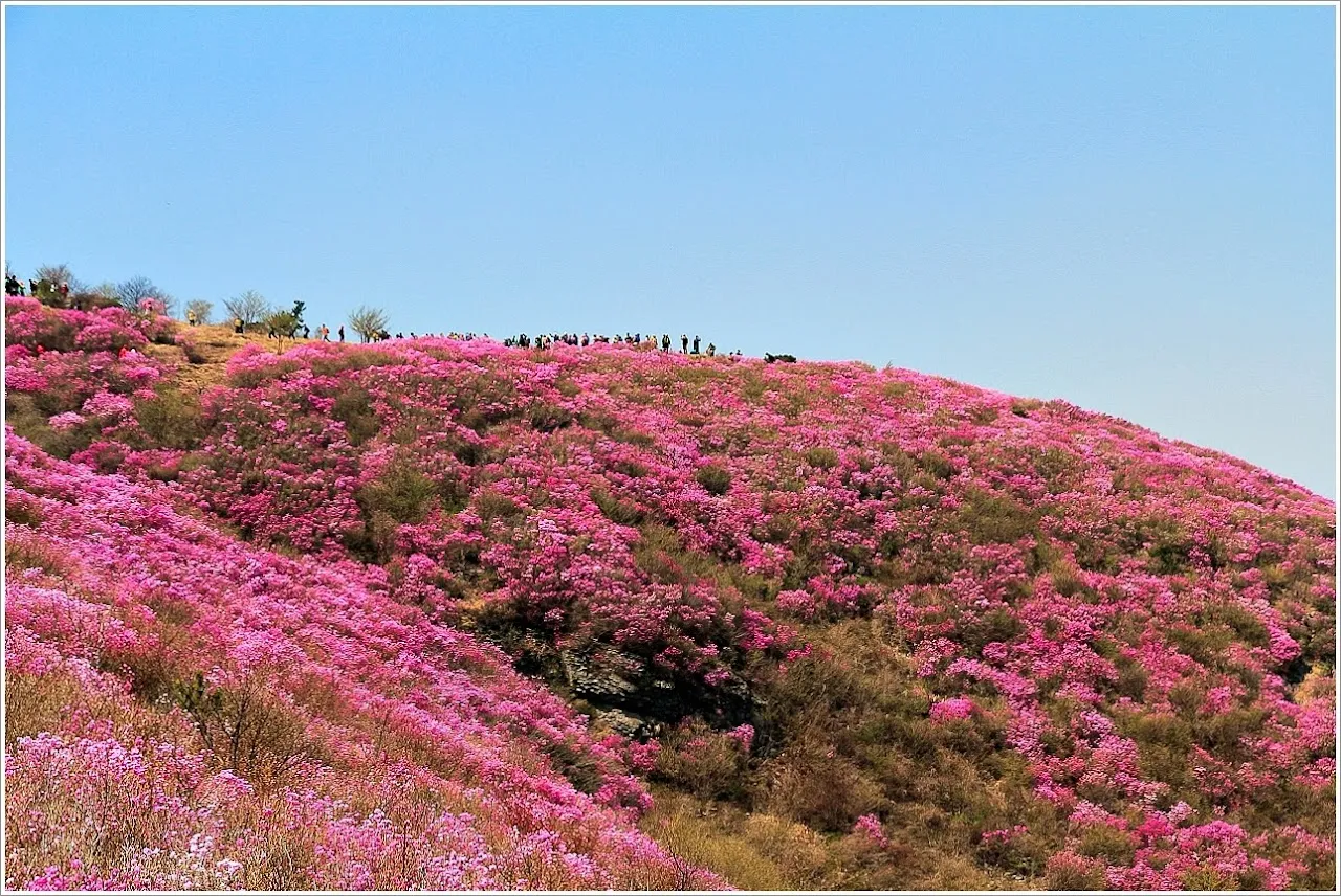 전남 여수 영취산