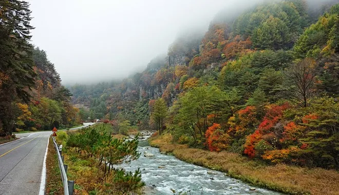 정선 소금강 ~ 민둥산