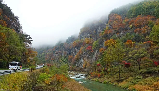 정선 소금강 ~ 민둥산