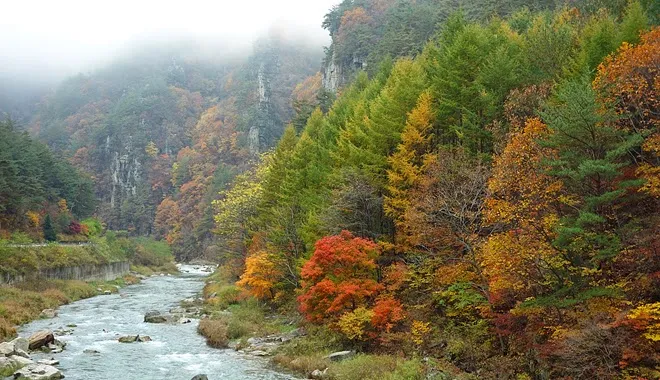 정선 소금강 ~ 민둥산