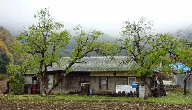 정선 소금강 ~ 민둥산