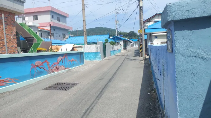 24코스