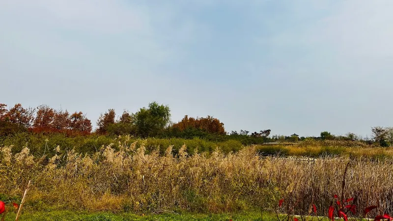 DMZ 평화의 길 4코스
