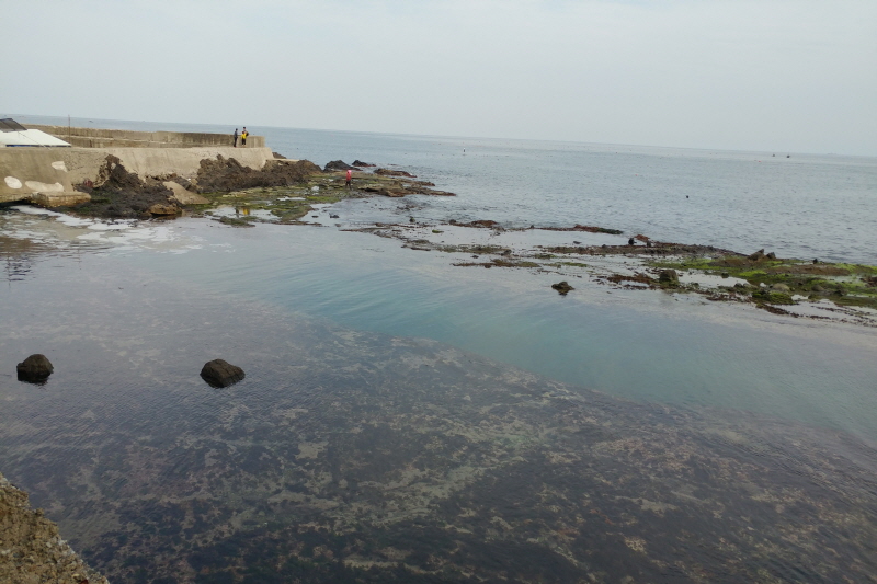 13코스