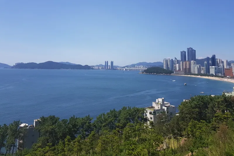 2코스