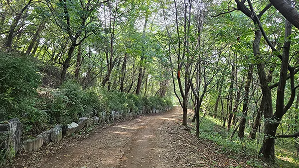 10코스 우면산