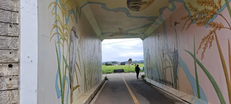 DMZ 평화의 길 5코스
