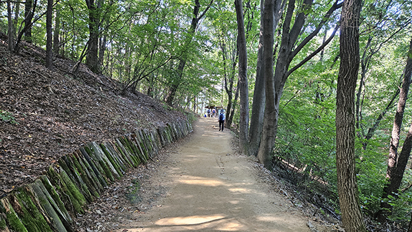 9코스 대모·구룡산