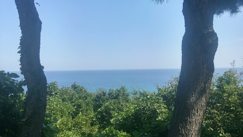 50코스