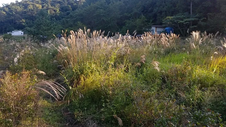 남파랑길 38코스