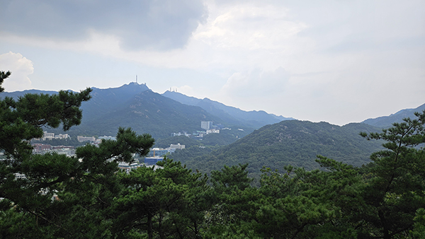11코스 관악산